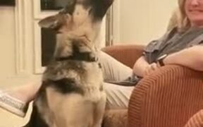 When Your Dog Loves Adele - Animals - VIDEOTIME.COM