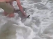 Baby Orca Rescued By A Man