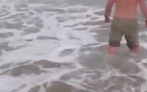 Baby Orca Rescued By A Man - Animals - VIDEOTIME.COM