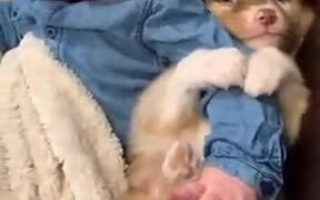 A Puppy Hugging Baby's Arm
