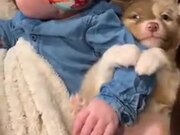A Puppy Hugging Baby's Arm