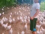 Man Leading A Chicken Army