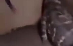 When A Dog's Spirit Enters Into A Crocodile - Animals - VIDEOTIME.COM
