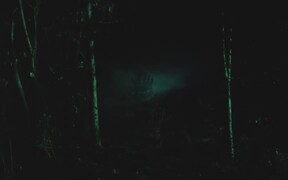 Grizzly II: Revenge Trailer - Movie trailer - VIDEOTIME.COM