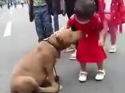 Small Girl Does Not Want To Leave A Dog