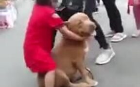 Small Girl Does Not Want To Leave A Dog - Animals - VIDEOTIME.COM