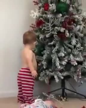 Kid Around A Christmas Tree