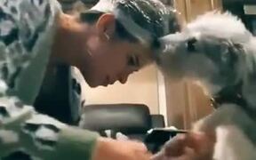 New Ingenious Technique To Cut Dog's Nail - Animals - VIDEOTIME.COM