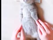 Little Kitten Gets A Full-Body Spa!