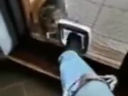 Cat Gets Really Angry At The Kitty Door