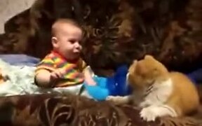 4-Legged Baby Sitter Won't Take No For An Answer