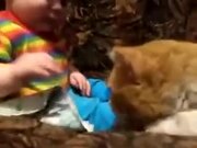 4-Legged Baby Sitter Won't Take No For An Answer - Animals - Y8.COM