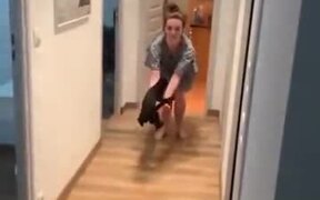 When You Meet Your Cat After A Long Day Of Work - Animals - VIDEOTIME.COM