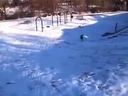 Intelligent Dog Goes Snowboarding By Itself
