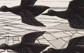 M.C. Escher - Journey To Infinity Trailer - Movie trailer - VIDEOTIME.COM