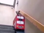 Owner Builds Bus Lift For Dog With Arthritis