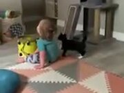 Cat Wants To Pick A Fight With Toddler