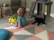 Cat Wants To Pick A Fight With Toddler - Animals - Y8.COM