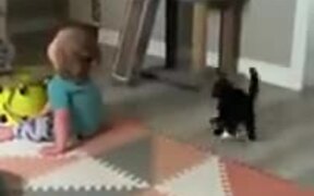 Cat Wants To Pick A Fight With Toddler - Animals - VIDEOTIME.COM