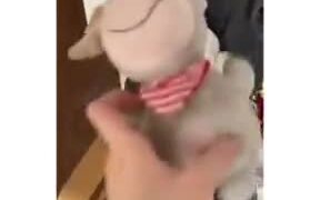 Cute Dog Just Wants To Cuddle With The Plushie