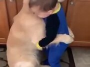 Toddler Hugs Dog, Dog Hugs Back