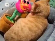 Cat's Tired Of The Weird Horny Flower Toy