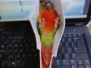 A Perfect Hammock For Your Bird