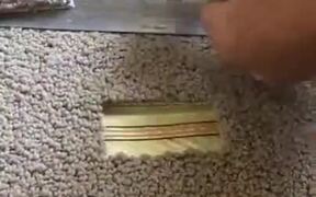 An Interesting Carpet Fixing - Fun - VIDEOTIME.COM