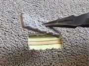 An Interesting Carpet Fixing