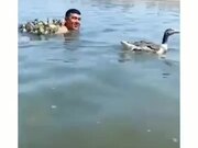 When Too Many Ducklings Are After You