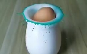 An Egg Drop Can Be So Satisfying - Fun - VIDEOTIME.COM