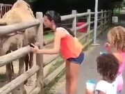 Camel Doesn't Like Duckface Pose