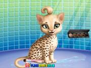Cat Hair Salon Walkthrough - Games - Y8.COM