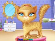 Trò chơi Cat Hair Salon - Chơi trực tuyến tại 