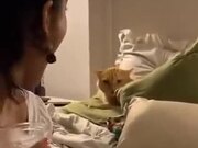 Cat Doesn't Like To Share Bed