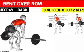 Full Training Of Gym Workout Plan - Sports - VIDEOTIME.COM