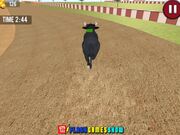 Angry Bull Racing Walkthrough - Games - Y8.COM