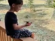 Patient Kid Feeds Hummingbirds From His Hands