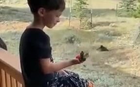 Patient Kid Feeds Hummingbirds From His Hands - Kids - VIDEOTIME.COM