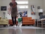 Cute Doggo Does Exactly What She Does