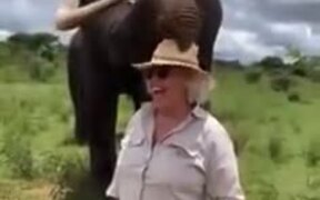 Elephant Literally Pranks A Woman - Animals - VIDEOTIME.COM