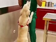 Doctor Dances With Puppy Before Giving A Vaccine