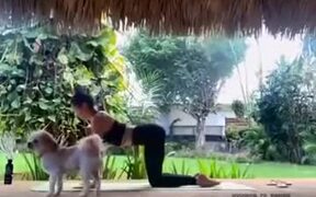 It's The Fatty's Turn To Do Yoga - Fun - VIDEOTIME.COM