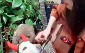 Boy With Devil Horns Listens To A Guitar Music - Animals - VIDEOTIME.COM