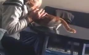 The Cat-Hating Grandpa - Animals - VIDEOTIME.COM