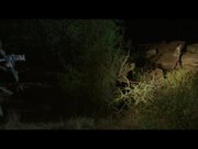 Endangered Species Official Trailer