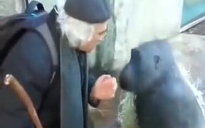 Chimpanzee And Old Man Engaged In AConversation - Animals - VIDEOTIME.COM