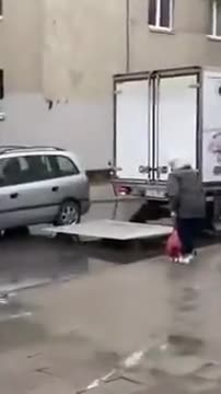Good Guys Help An Old Woman