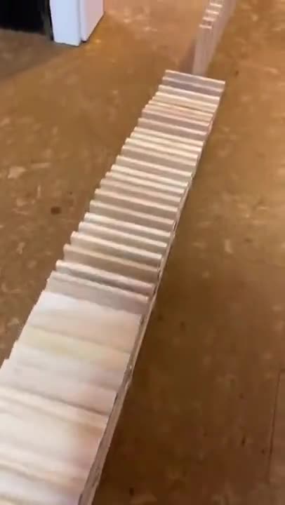Possibly The Longest Domino Chain Reaction
