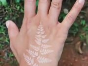 Cool Silver Fern Spore Tattoo